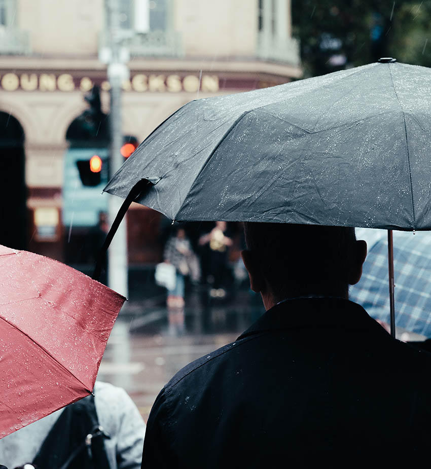 insurance advice in york